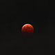 Illustration for article titled Today's Lunar Eclipse Looked Spectacular